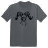 The Concert Tee ® Thumbnail