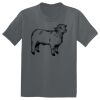 The Concert Tee ® Thumbnail