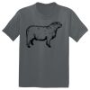 The Concert Tee ® Thumbnail