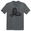 The Concert Tee ® Thumbnail