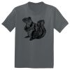 The Concert Tee ® Thumbnail