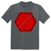 The Concert Tee ® Thumbnail
