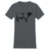 Women's Fitted The Concert Tee ® Thumbnail