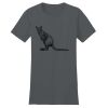 Women's Fitted The Concert Tee ® Thumbnail