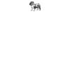 DTF Print Thumbnail