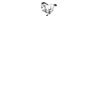 DTF Print Thumbnail