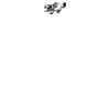 DTF Print Thumbnail