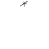 DTF Print Thumbnail