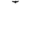 DTF Print Thumbnail