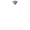 DTF Print Thumbnail
