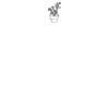 DTF Print Thumbnail