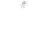 DTF Print Thumbnail