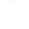 DTF Print Thumbnail