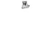DTF Print Thumbnail