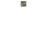 DTF Print Thumbnail