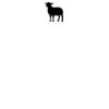DTF Print Thumbnail